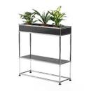 Table d'appoint USM Haller pour plantes Type 1, Anthracite RAL 7016