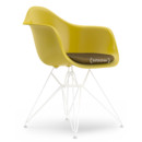Eames Plastic Armchair DAR, Moutarde, Avec coussin d'assise, Moutarde / gris foncé, Version standard - 43 cm, Revêtement blanc