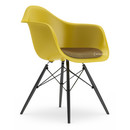 Eames Plastic Armchair DAW, Moutarde, Avec coussin d'assise, Moutarde / gris foncé, Version standard - 43 cm, Érable noir