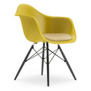 Eames Plastic Armchair DAW, Moutarde, Avec coussin d'assise, Moutarde / ivoire, Version standard - 43 cm, Érable noir