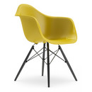 Eames Plastic Armchair DAW, Moutarde, Sans rembourrage, Sans rembourrage, Version standard - 43 cm, Érable noir