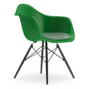 Eames Plastic Armchair DAW, Vert, Avec coussin d'assise, Vert / ivoire, Version standard - 43 cm, Érable noir