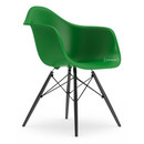 Eames Plastic Armchair DAW, Vert, Sans rembourrage, Sans rembourrage, Version standard - 43 cm, Érable noir
