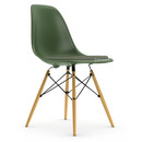 Eames Plastic Side Chair DSW, Forêt, Avec coussin d'assise, Ivoire / forêt, Version standard - 43 cm, Frêne tons miel