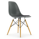 Eames Plastic Side Chair DSW, Gris granit, Avec coussin d'assise, Gris foncé, Version standard - 43 cm, Érable nuance de jaune