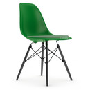 Eames Plastic Side Chair DSW, Vert, Avec coussin d'assise, Vert / ivoire, Version standard - 43 cm, Érable noir