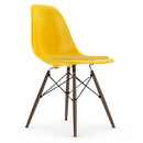 Eames Plastic Side Chair DSW, Sunlight, Avec coussin d'assise, Jaune / ivoire, Version standard - 43 cm, Érable foncé