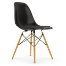 Eames Plastic Side Chair DSW, Noir profond  , Avec coussin d'assise, Gris foncé, Version standard - 43 cm, Érable nuance de jaune