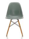 Eames Fiberglass Chair DSW, Eames sea foam green, Érable nuance de jaune